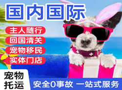 东河航空运输国际宠物托运 【国